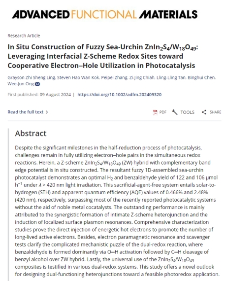 Prof. Ong Wee Jun and Team Publish in Advanced Functional Materials