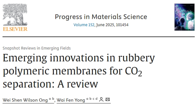 Prof.-Ir.-Dr.-Yong-Wai-Fen-&-Student-Publish-in-Progress-in-Materials-Science-2