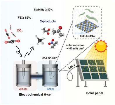 Prof.-Ong-Wee-Jun-&-Team-Publish-in-Advanced-Functional-Materials-and-Selected-as-Journal-Back-Cover-2