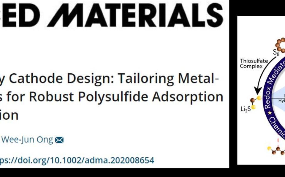 Dr. Ong Wee Jun and Team Publish in Advanced Materials (IF  25)