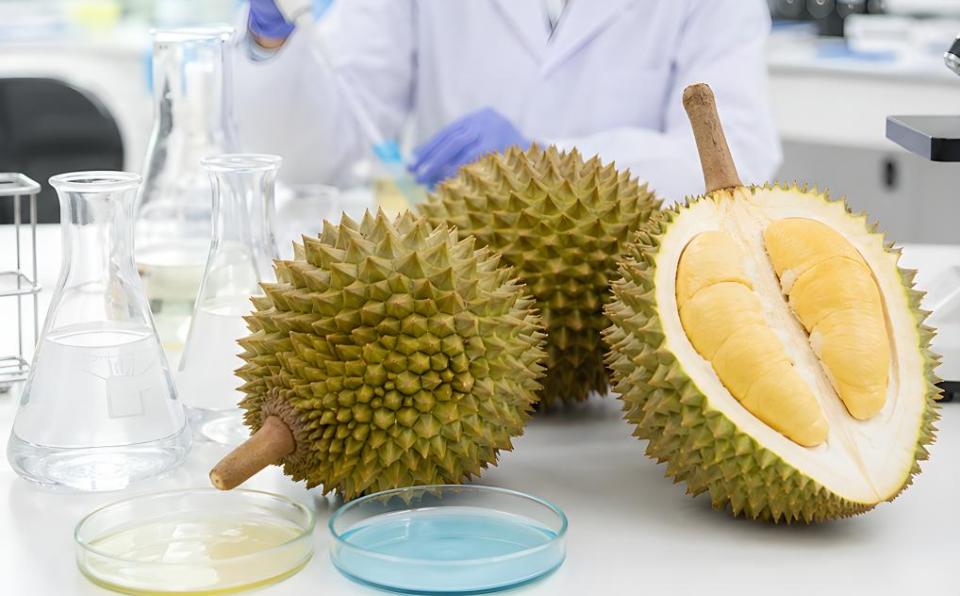 Durian research